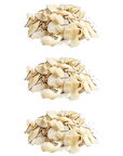 Reel Fruit: Toasted Coconut Chips Unsweetened
