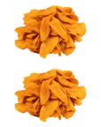 Reel Fruit: Gently Dried Mango